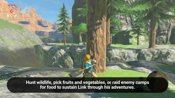 The Legend of Zelda: Breath of the Wild  - Switch
