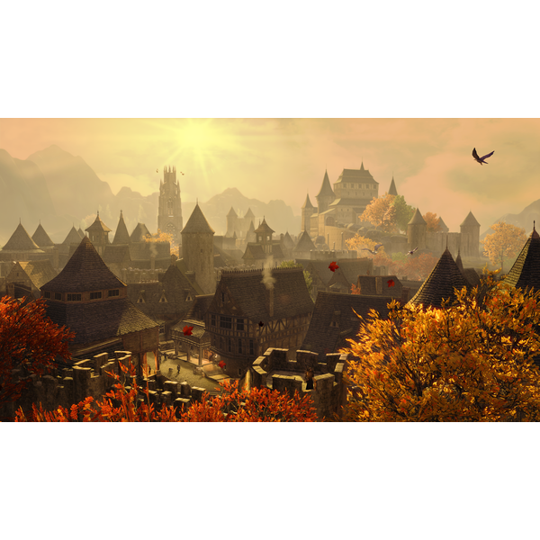 the-elder-scrolls-online-collection-gol.png