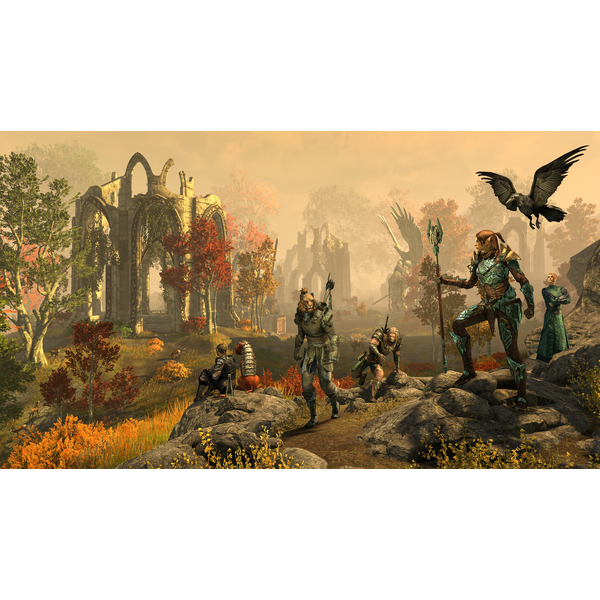 the-elder-scrolls-online-collection-gol.png