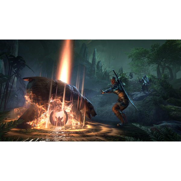the-elder-scrolls-online-collection-gol.png