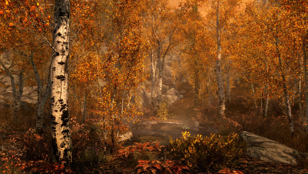 The Elder Scrolls V Skyrim: Special Edition