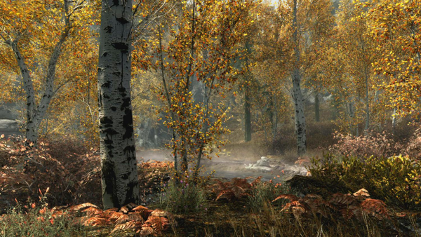 The Elder Scrolls V Skyrim: Special Edition