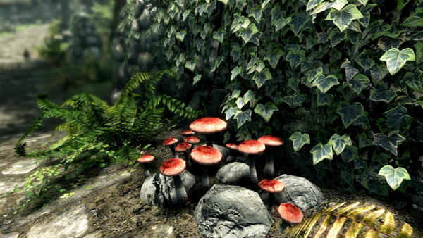 The Elder Scrolls V Skyrim: Special Edition