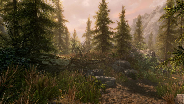 The Elder Scrolls V Skyrim: Special Edition
