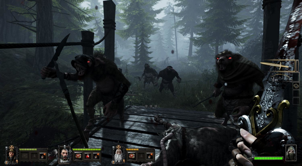 Warhammer: End Times - Vermintide Collector's