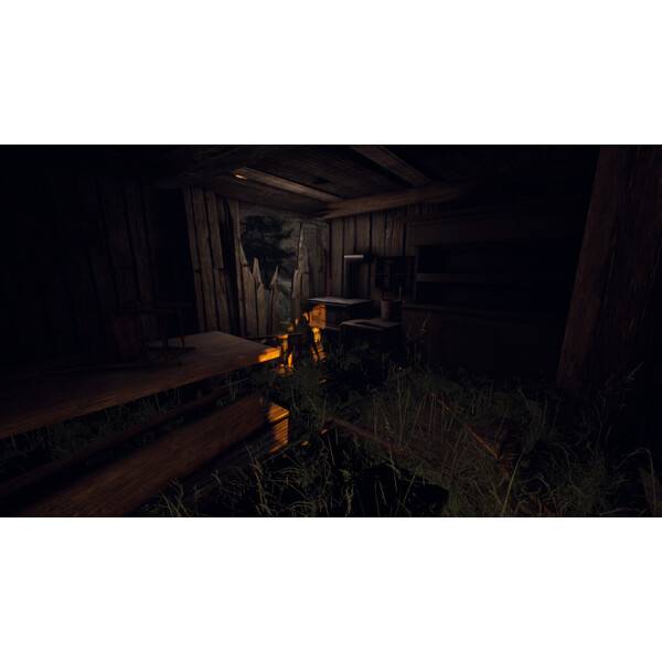 The Fold: Ingression PC Download