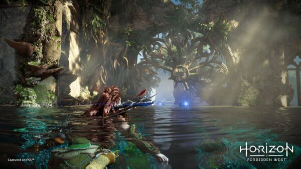 Horizon Forbidden West - PS5
