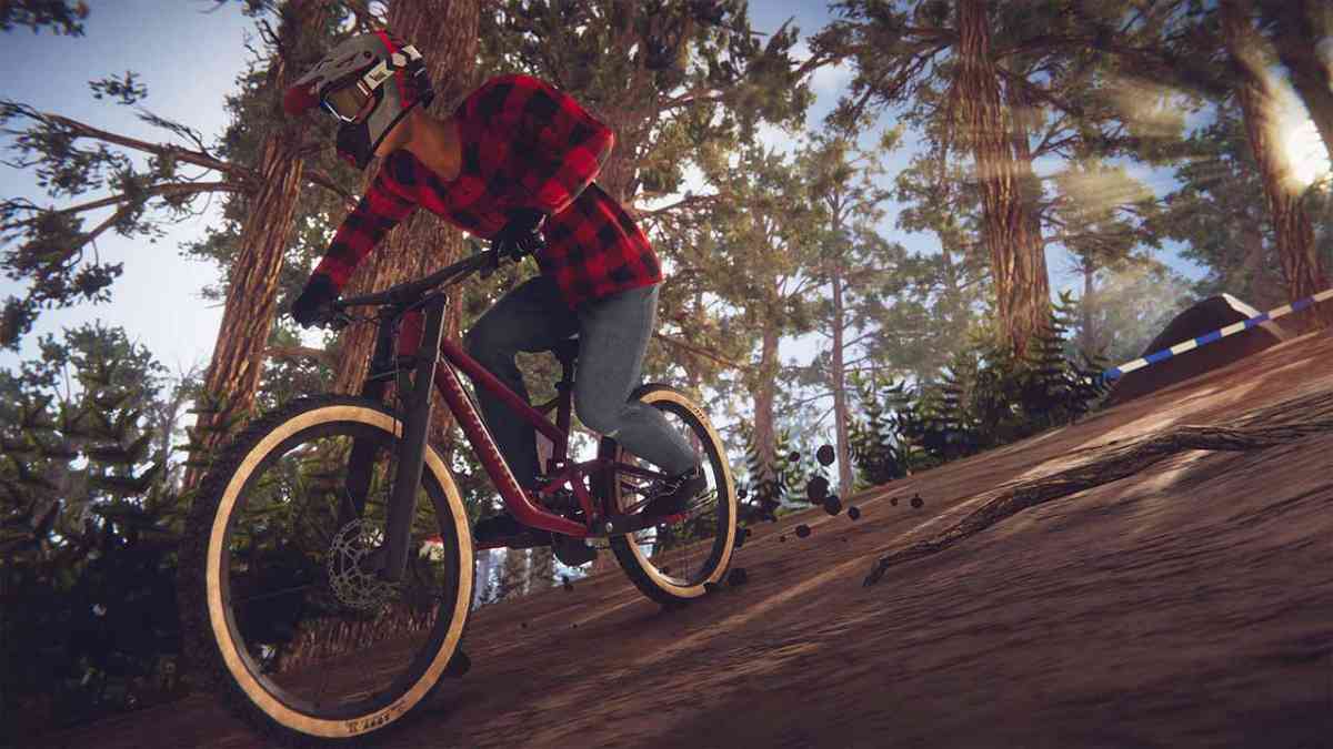 Descenders  - Switch(CIAB)