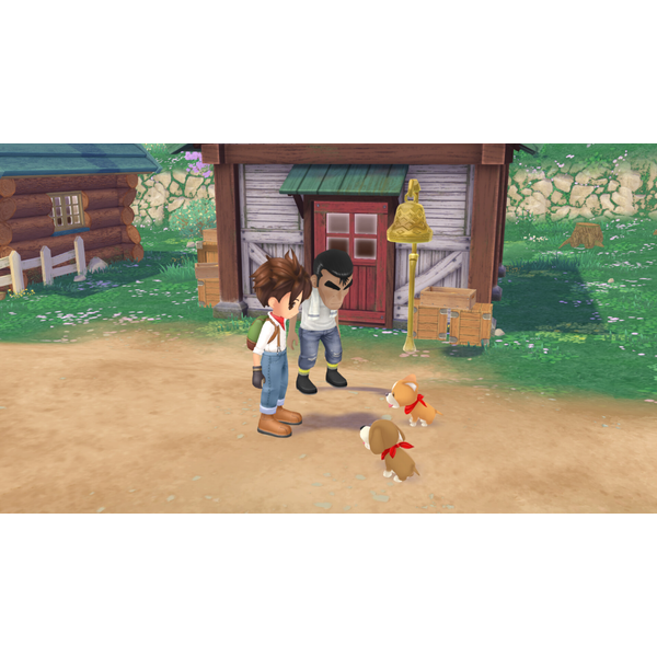 Story Of Season: A Wonderful Life