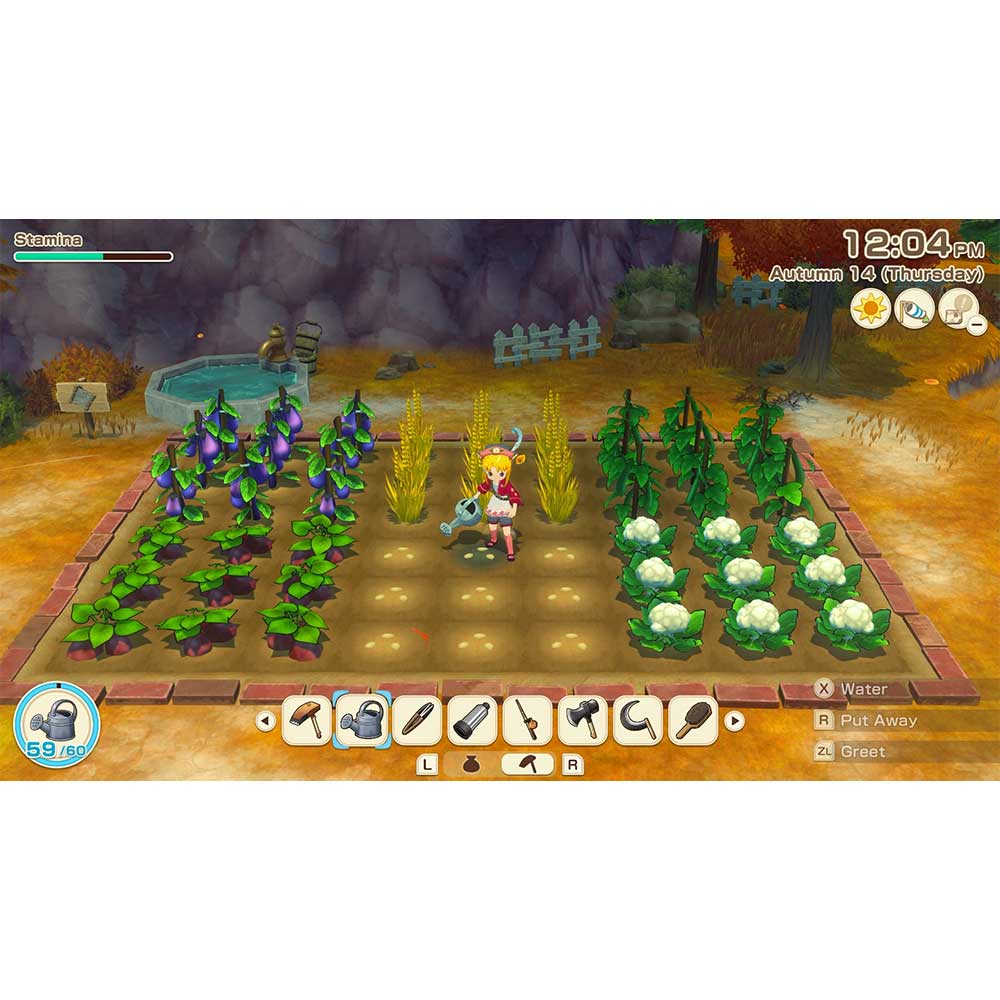 Story Of Seasons: Grand Bazaar - Switch 2