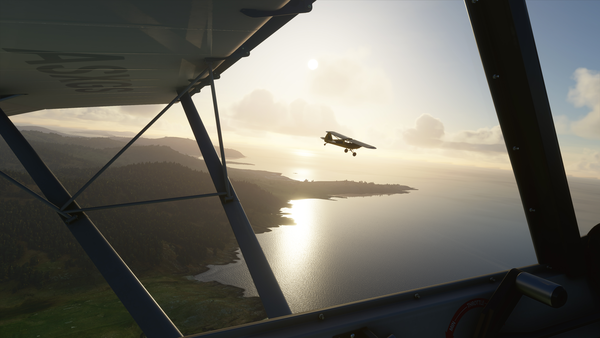 Microsoft Flight Simulator Download