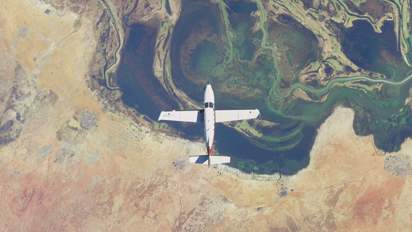 Microsoft Flight Simulator Download