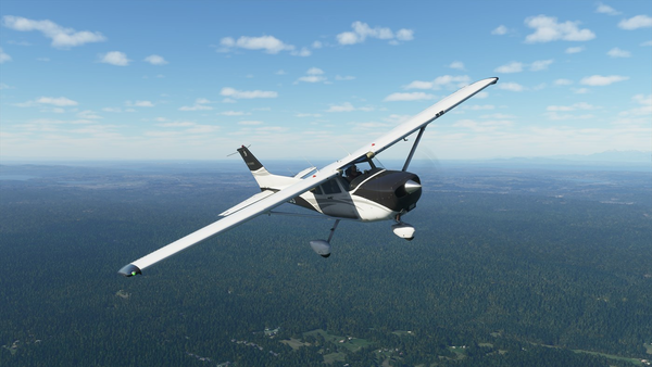 Microsoft Flight Simulator: Deluxe Edition