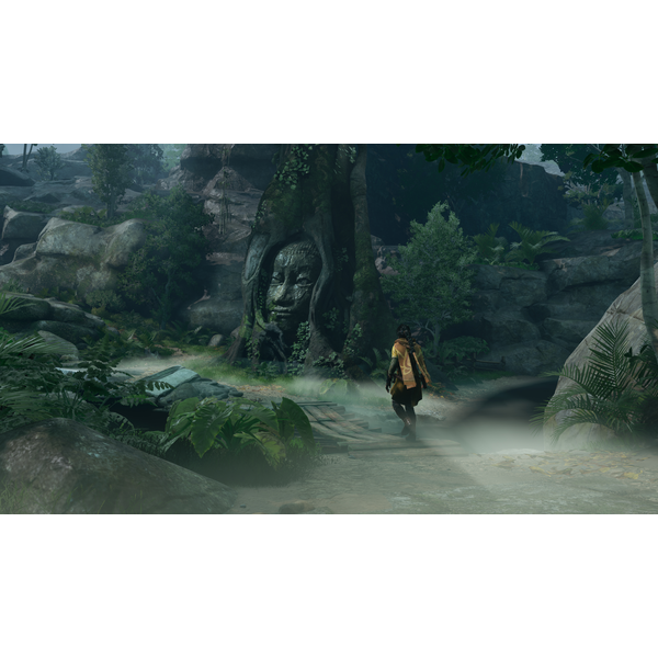 unknown-9-awakening.png