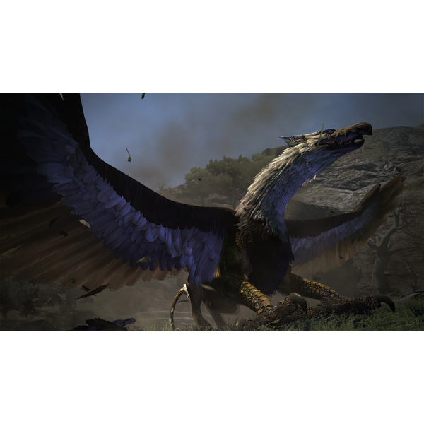 Dragon's Dogma: Dark Arisen