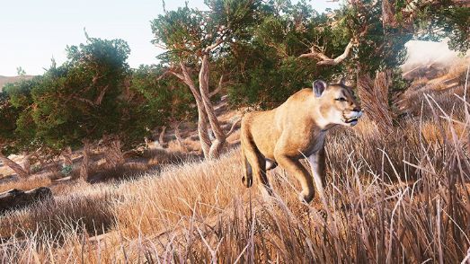 Hunting Simulator 2