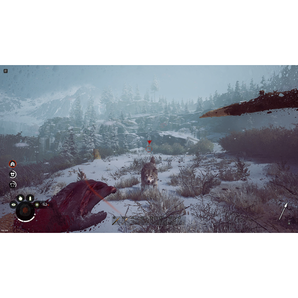 Winter Survival