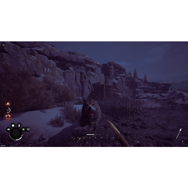 Winter Survival