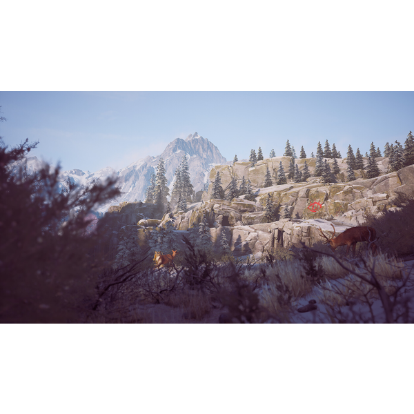 Winter Survival