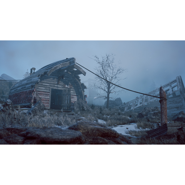 Winter Survival