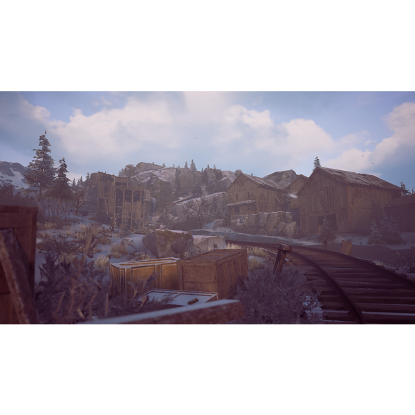 Winter Survival