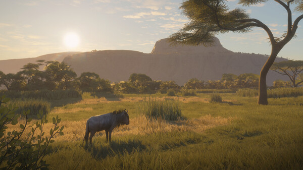 theHunter: Call of the Wild™ - Vurhonga Savanna