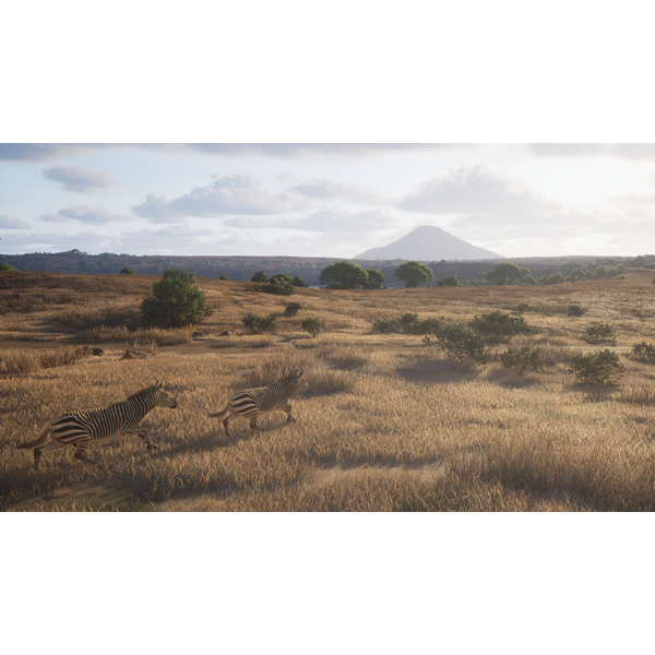 Way of the Hunter 2 (ROW) PC Download