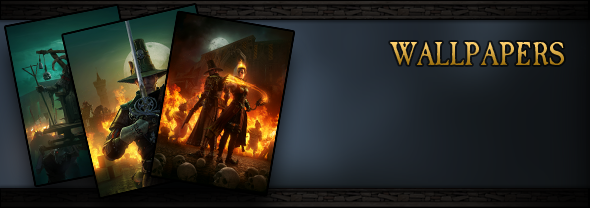 Warhammer: End Times - Vermintide Collector's