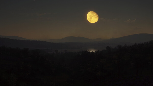 theHunter: Call of the Wild™ - Parque Fernando