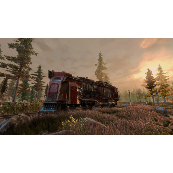 New Cycle - Supporter Pack