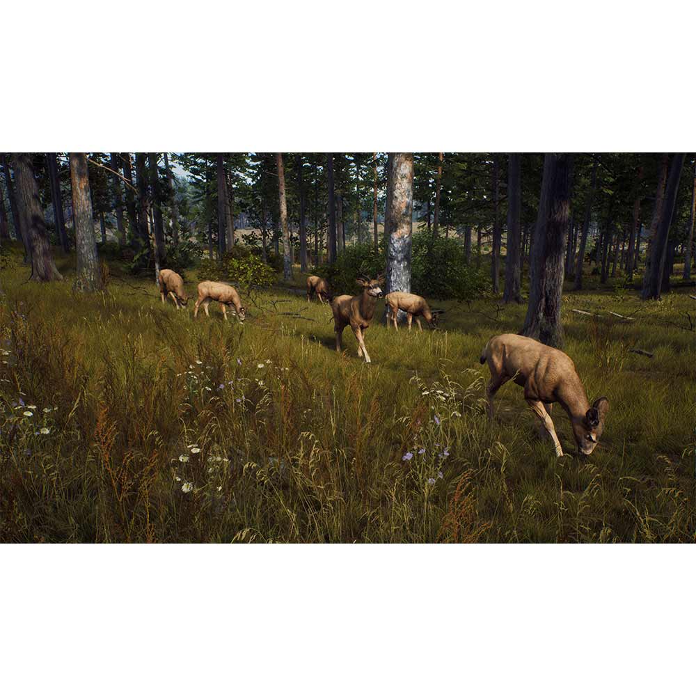 Way of the Hunter - PS5