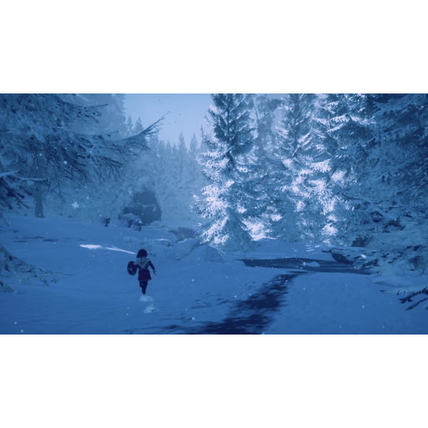 Skábma - Snowfall PC Download