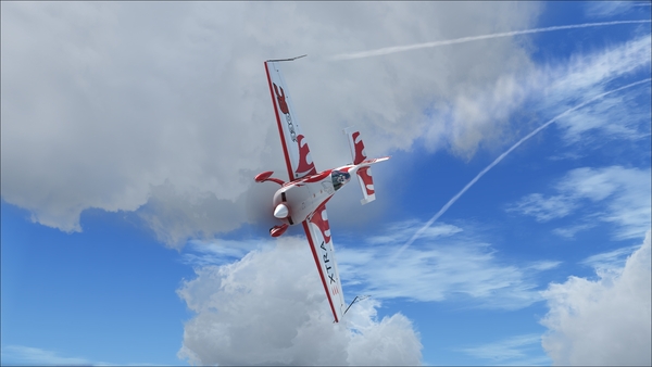 Microsoft Flight Simulator X: Steam Edition: Skych