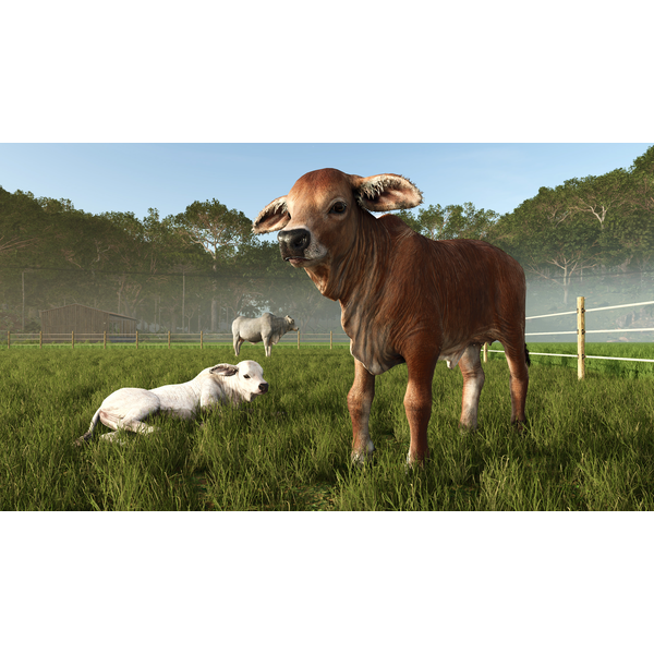 Farming Simulator 25: Beans & Alpacas Expansion PC Download