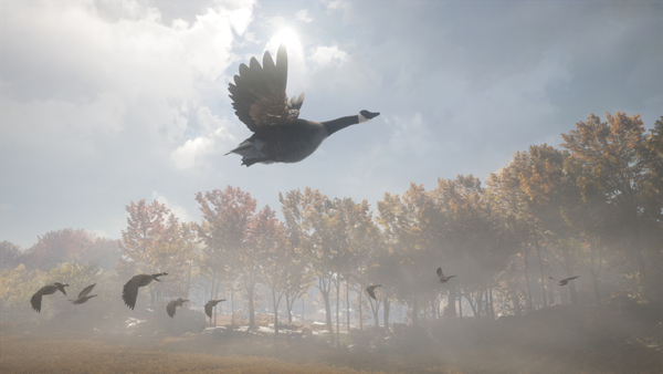 theHunter: Call of the Wild™ - Wild Goose Chase Ge