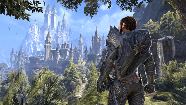The Elder Scrolls Online: Summerset - Standard
