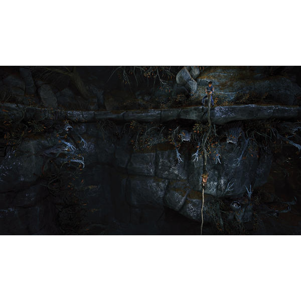 Brothers: A Tale of Two Sons Remake