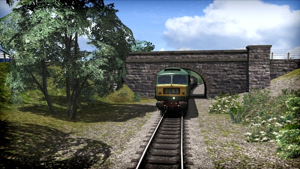 Train Simulator: WSR Diesels Loco Add-On
