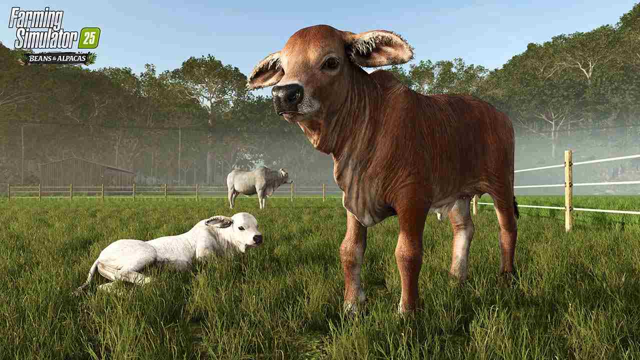 Farming Simulator 25: Beans & Alpacas Edition - XBX
