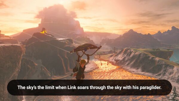 The Legend of Zelda: Breath of the Wild  - Switch