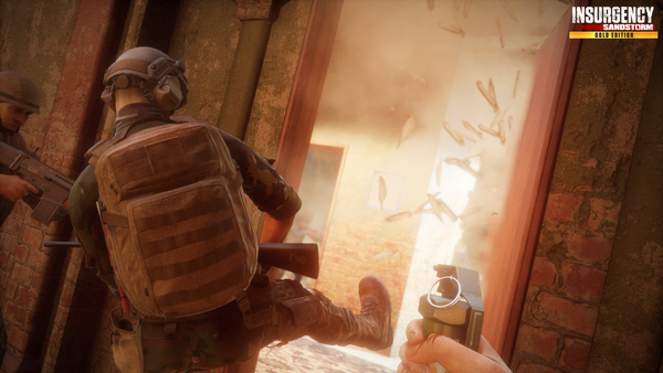 Insurgency: Sandstorm - Gold Edition PC