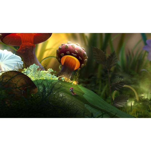Mari and Bayu - The Road Home PC Download