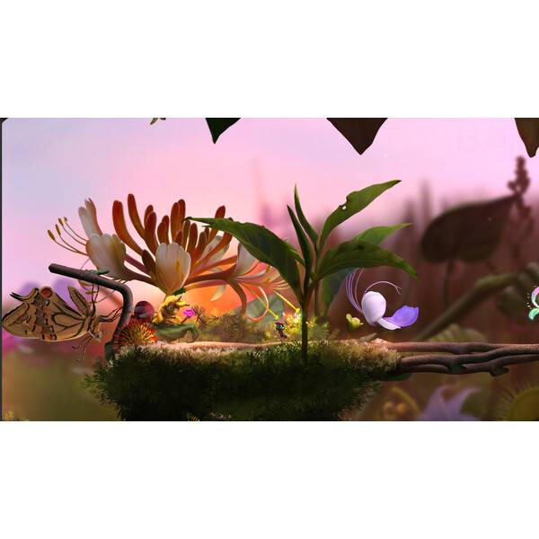 Mari and Bayu - The Road Home PC Download