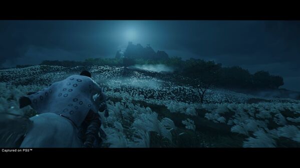 Ghost of Tsushima Director's Cut
