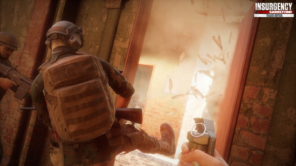 Insurgency: Sandstorm - Deluxe Edition PC