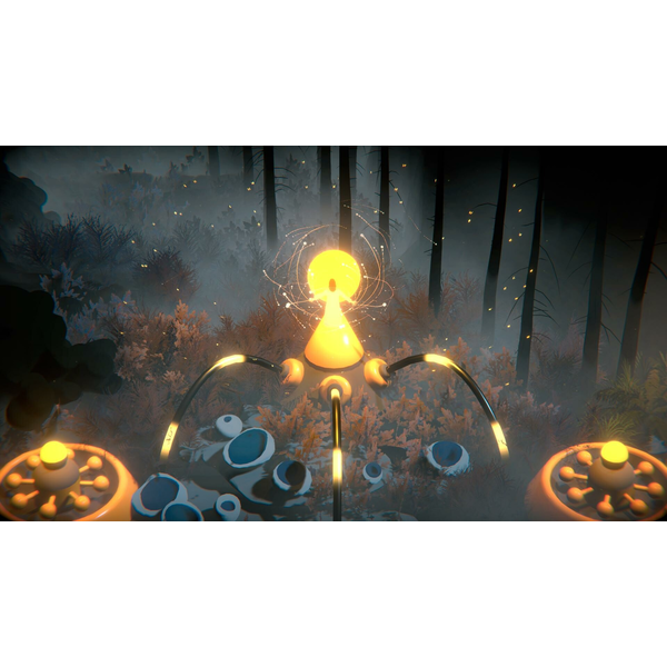 the-forest-quartet.png