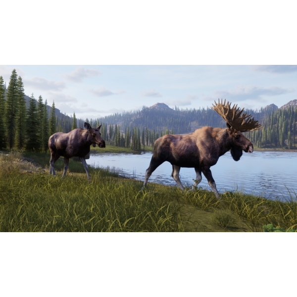 Way of the Hunter 2 (ROW) PC Download