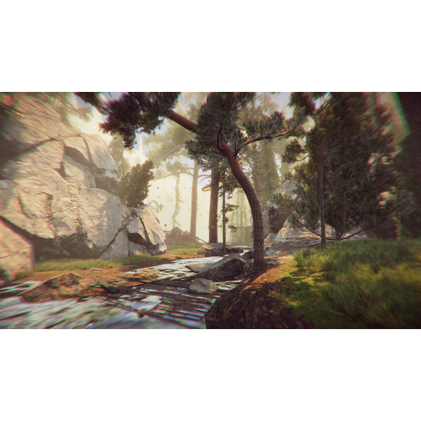 The Forest Cathedral PC Digital