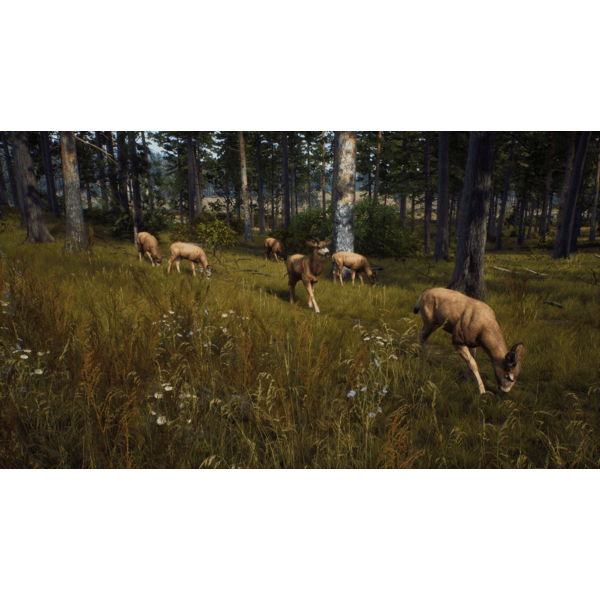 Way of the Hunter PC Download (ROW)