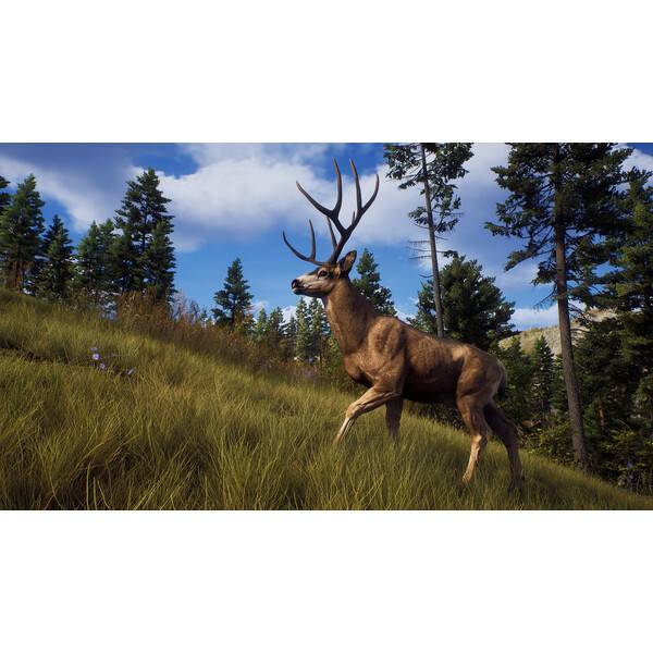 Way of the Hunter PC Download (ROW)